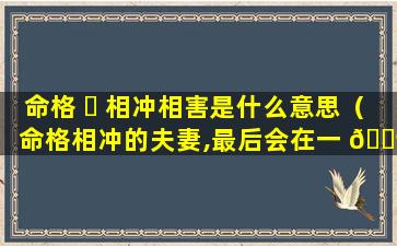 命格 ☘ 相冲相害是什么意思（命格相冲的夫妻,最后会在一 🐶 起吗）